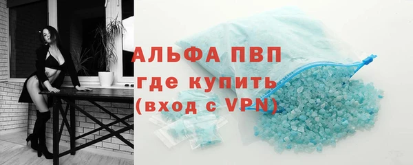 стафф Кодинск