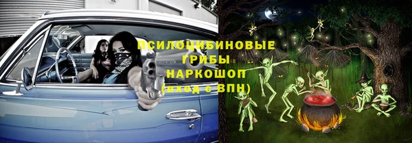 стафф Кодинск